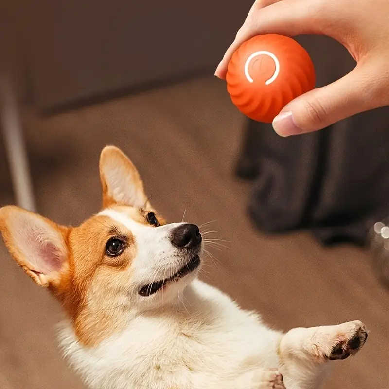 Automatic Rolling Ball Toy for Dog! - Image 5
